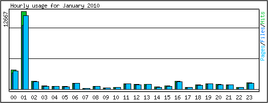 Hourly usage