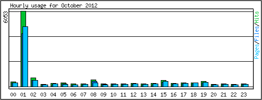 Hourly usage