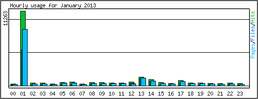 Hourly usage