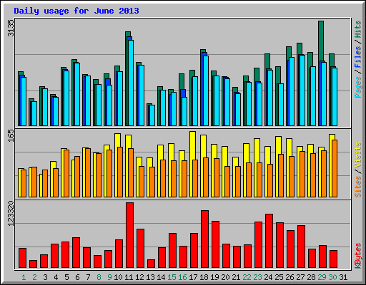 Daily usage for June 2013